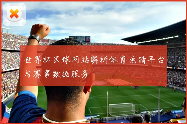 世界杯买球网站解析体育竞猜平台与赛事数据服务