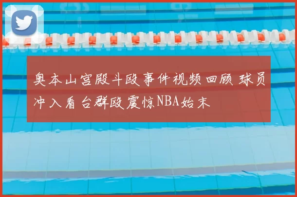 奥本山宫殿斗殴事件视频回顾 球员冲入看台群殴震惊NBA始末