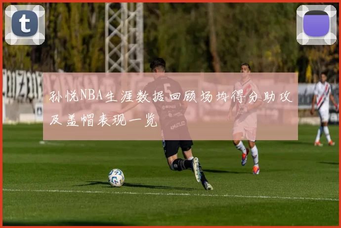 孙悦NBA生涯数据回顾场均得分助攻及盖帽表现一览
