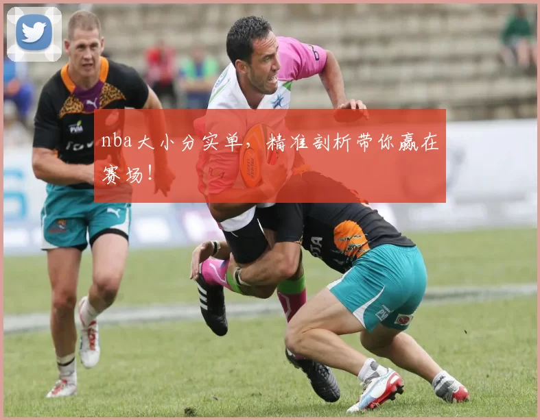 nba大小分实单，精准剖析带你赢在赛场！