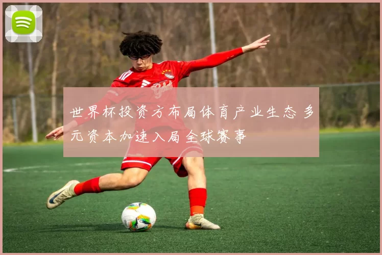 世界杯投资方布局体育产业生态 多元资本加速入局全球赛事